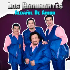 Albañil de Amor - Single by Los Caminantes album reviews, ratings, credits