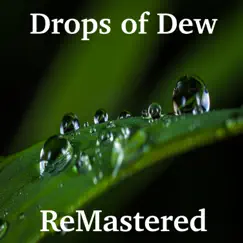 Drops of Dew Song Lyrics