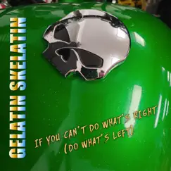 If You Can't Do What's Right (Do What's Left) - Single by Gelatin Skelatin album reviews, ratings, credits