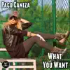 What You Want - Single album lyrics, reviews, download