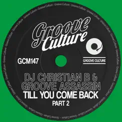 Till You Come Back, Pt.2 - Single by Groove Assassin & Dj Christian B album reviews, ratings, credits