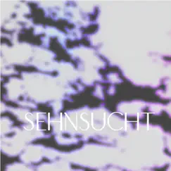 Sehnsucht - Single by Jnk album reviews, ratings, credits