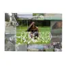 A Friend Like You - Single album lyrics, reviews, download