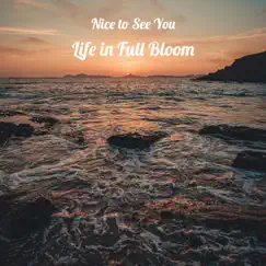 Life in Full Bloom - EP by Nice to See You album reviews, ratings, credits
