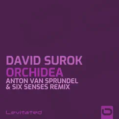 Orchidea (Anton van Sprundel & Six Senses Extended Remix) Song Lyrics