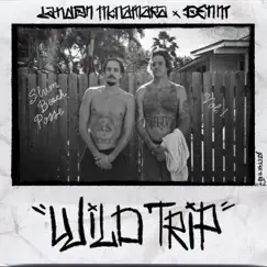 Wild Trip - Single by DENM & Landon McNamara album reviews, ratings, credits