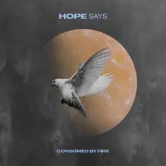 Hope Says - Single by Consumed by Fire album reviews, ratings, credits