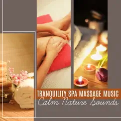 Tranquility Spa Massage Music - Calm Nature Sounds for Inner Peace, Well Being, Total Relax with Spa (Tibetan Bowls & Sea Waves) by Therapeutic Tibetan Spa Collection album reviews, ratings, credits