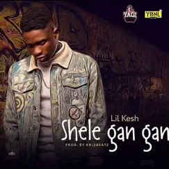 Shele Gan Gan - Single by Lil Kesh album reviews, ratings, credits