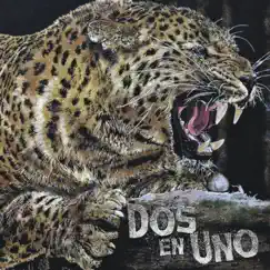Jaguar by Dos En Uno album reviews, ratings, credits