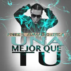 Una Mejor Que Tu - Single by Prynce El Armamento Lirical album reviews, ratings, credits