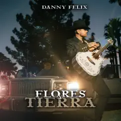 Flores Y Tierra - Single by Danny Felix album reviews, ratings, credits