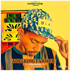 Liberación (Pura Vida Brasil Riddim) - Single by Freedom Sounds & Adelking Farmer album reviews, ratings, credits