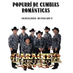 Popurrí de Cumbias Románticas: En Realidad/ Mi Vida Sin Ti - Single by Carácter Norteño album reviews, ratings, credits