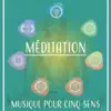Méditation: Musique pour cinq sens, Moments tranquilles, Paix intérieure yoga, Guérison zen jardin album lyrics, reviews, download
