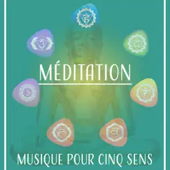 Méditation: Musique pour cinq sens, Moments tranquilles, Paix intérieure yoga, Guérison zen jardin by Aide Au Sommeil Académie album reviews, ratings, credits