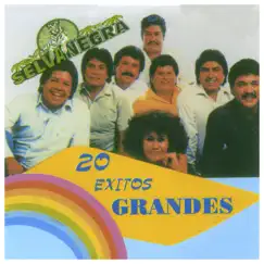 20 Éxitos Grandes by Selva Negra album reviews, ratings, credits