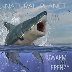 Natural Planet: Swarm and Frenzy by Figure and Groove album reviews, ratings, credits