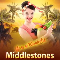 Life Is so Wonderful - Single by Middlestones album reviews, ratings, credits