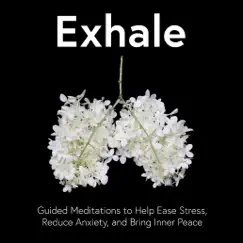 Exhale: Guided Meditations to Help Ease Stress, Reduce Anxiety, And Bring Inner Peace by Jenna Citrus, Bunny Luna & Lior Allay album reviews, ratings, credits