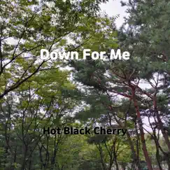 Down For Me - Single by Hot Black Cherry album reviews, ratings, credits