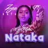 Nataka - Single album lyrics, reviews, download