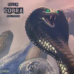 Cobra - Single by TILLR album reviews, ratings, credits