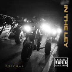 In the Ley - Single by Drizmali album reviews, ratings, credits