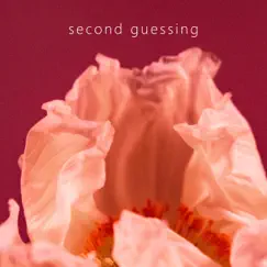 Second guessing Song Lyrics