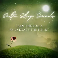 Rejuvenate the Heart Song Lyrics