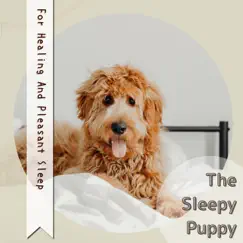For Healing and Pleasant Sleep by The Sleepy Puppy album reviews, ratings, credits
