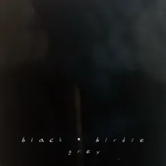 Grey (It'll Be Alright) - Single by Black Birdie album reviews, ratings, credits