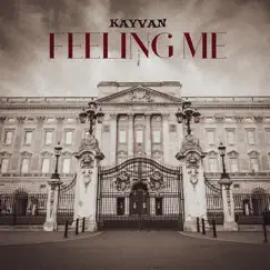 Feeling Me - Single by Kayvan album reviews, ratings, credits