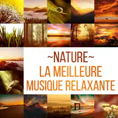 Nature: La meilleure musique relaxante, vagues océaniques hypnotiques, sons calmes de la pluie, bruit blanc, chutes d'eau de guérison et chants d'animaux pour réduire le stress by Just Relax Music Universe album reviews, ratings, credits