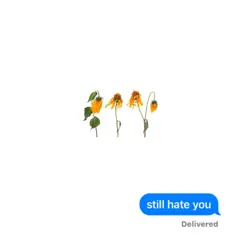 Still Hate You Song Lyrics