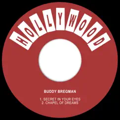 Secret in Your Eyes - Single by Buddy Bregman album reviews, ratings, credits