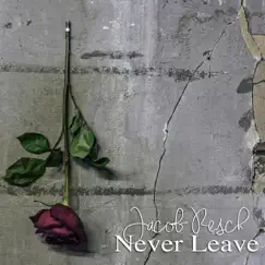 Never Leave - Single by Jacob Resch album reviews, ratings, credits