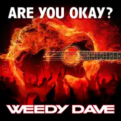 Are You Okay? (Radio Edit) Song Lyrics