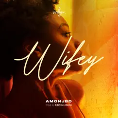 Wifey - Single by Amonjbd album reviews, ratings, credits