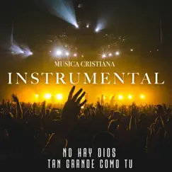 No Hay Dios Tan Grande Como Tu by MUSICA CRISTIANA INSTRUMENTAL album reviews, ratings, credits