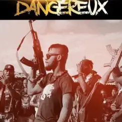 Dangereux - Single by DJ Arafat album reviews, ratings, credits