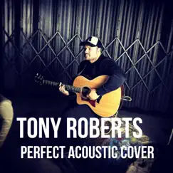 Perfect (Acoustic) - Single by Tony Roberts album reviews, ratings, credits