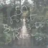 50 Forest Sounds to Relax album lyrics, reviews, download