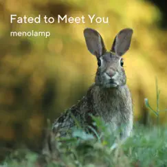 Fated to Meet You - Single by Menolamp album reviews, ratings, credits