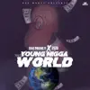 Young N***a World (feat. 2G's) - Single album lyrics, reviews, download