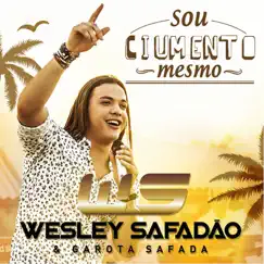 Sou Ciumento Mesmo - Single by Wesley Safadão album reviews, ratings, credits
