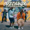 Cosechando - Single album lyrics, reviews, download