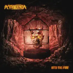 Into the Fire - Single by Andromida album reviews, ratings, credits