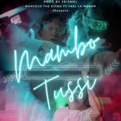 Mambo Tussi (feat. Yael la Menor) - Single by Marcelo The Kiiing album reviews, ratings, credits