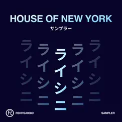 House of New York (Sampler) - Single by Roland Clark, DJ Pap & Lenny Fontana album reviews, ratings, credits